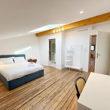 Daire Le Vigneron - Centre - Luxe - Climatisation Toulouse