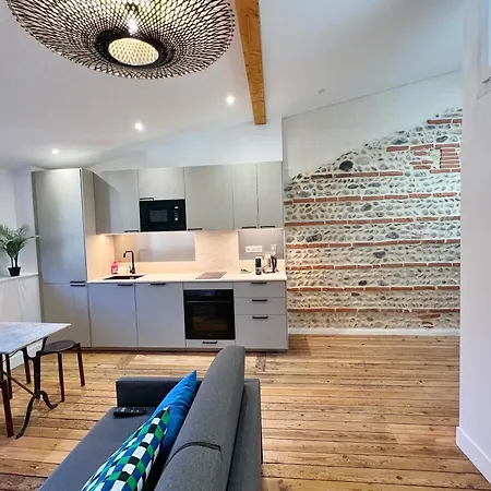 Le Vigneron - Centre - Luxe - Climatisation Apartmán Toulouse