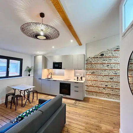 Le Vigneron - Centre - Luxe - Climatisation Apartmán Toulouse