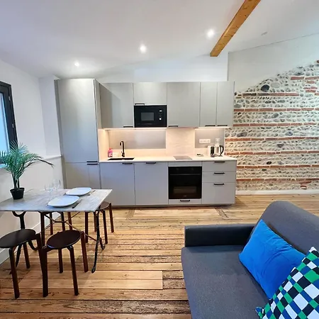 Le Vigneron - Centre - Luxe - Climatisation Apartmán Toulouse