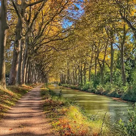 Le Vigneron - Centre - Luxe - Climatisation Apartment *