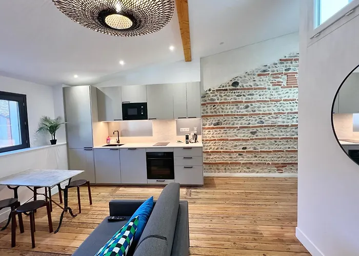 Le Vigneron - Centre - Luxe - Climatisation Apartamento Toulouse