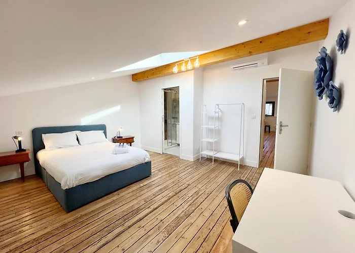 Apartamento Le Vigneron - Centre - Luxe - Climatisation Toulouse