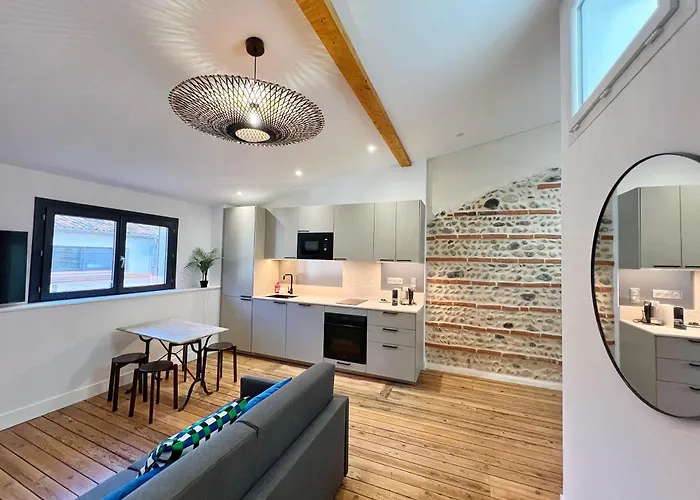 Le Vigneron - Centre - Luxe - Climatisation Apartamento Toulouse