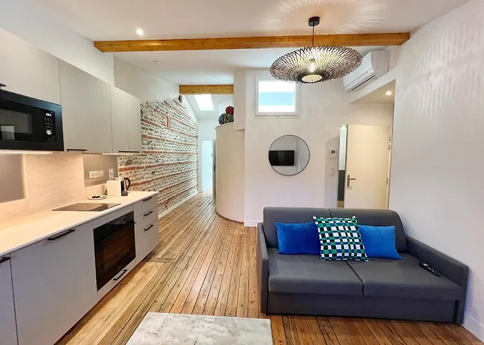 Le Vigneron - Centre - Luxe - Climatisation * Toulouse