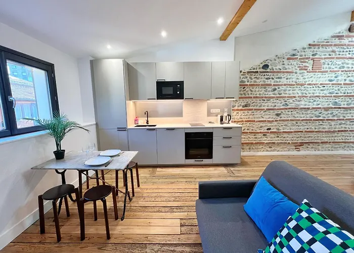 Le Vigneron - Centre - Luxe - Climatisation Apartamento Toulouse